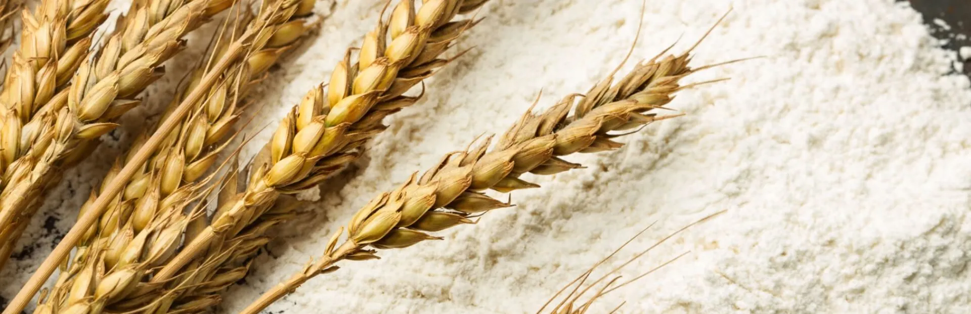 FLOUR THE HIGHEST QUALITY
